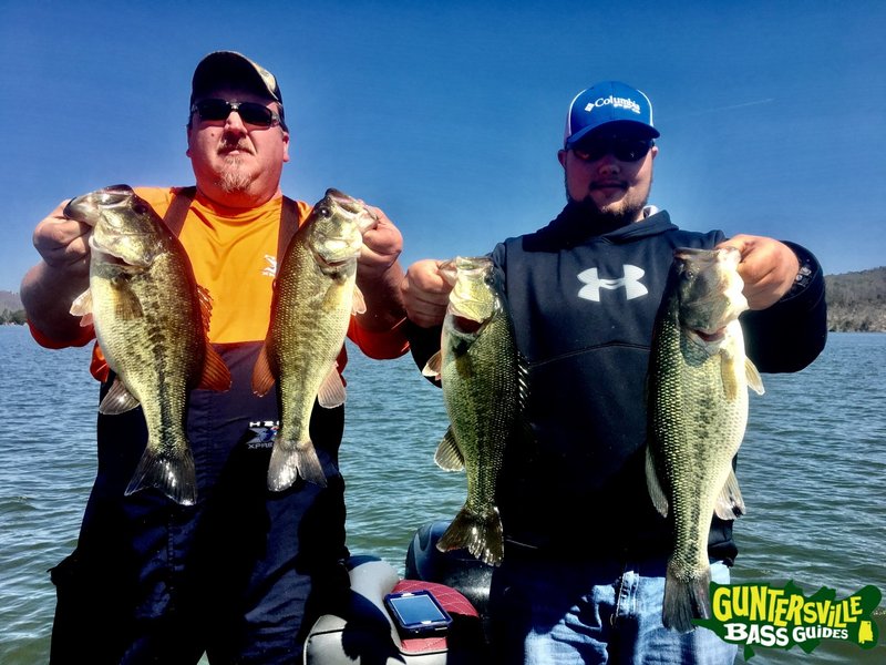 Best big bass splash slot in Germany